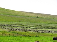 clique na foto para ampli-la